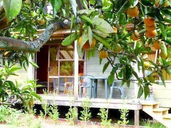 Relax A Kerikeri